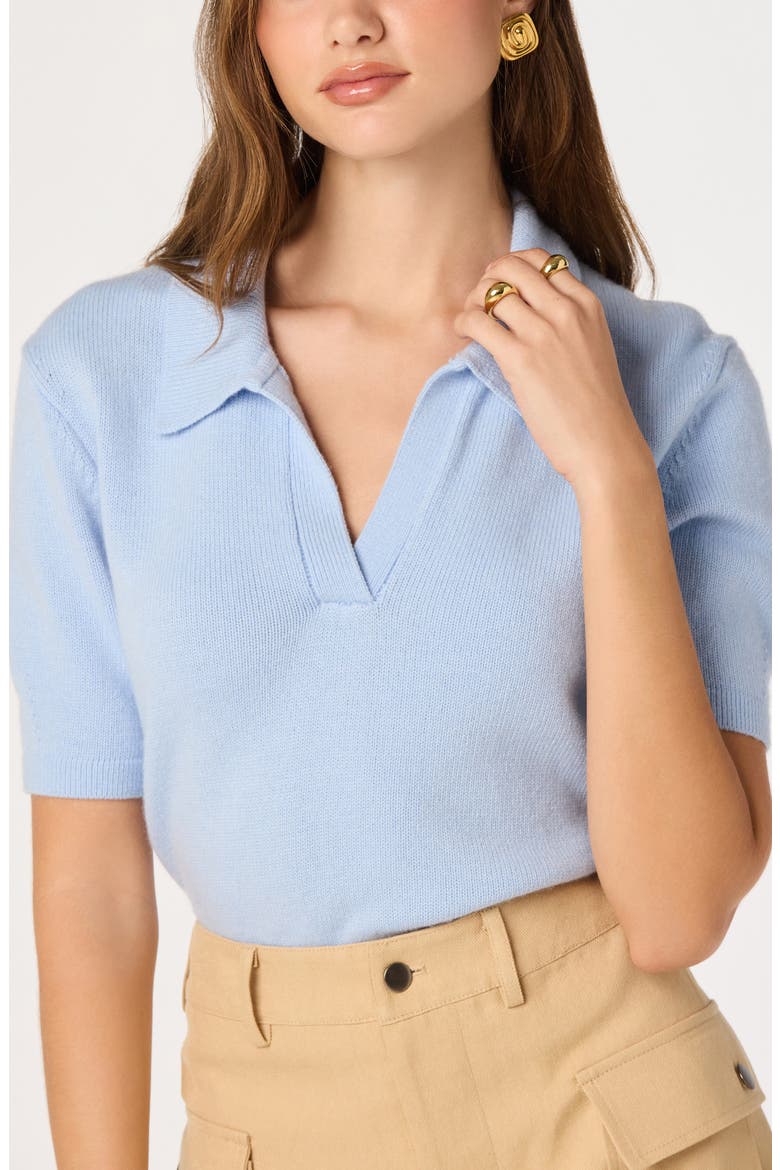 Brauwin Collared Short Sleeve Sweater, Alternate, color, BLUE
