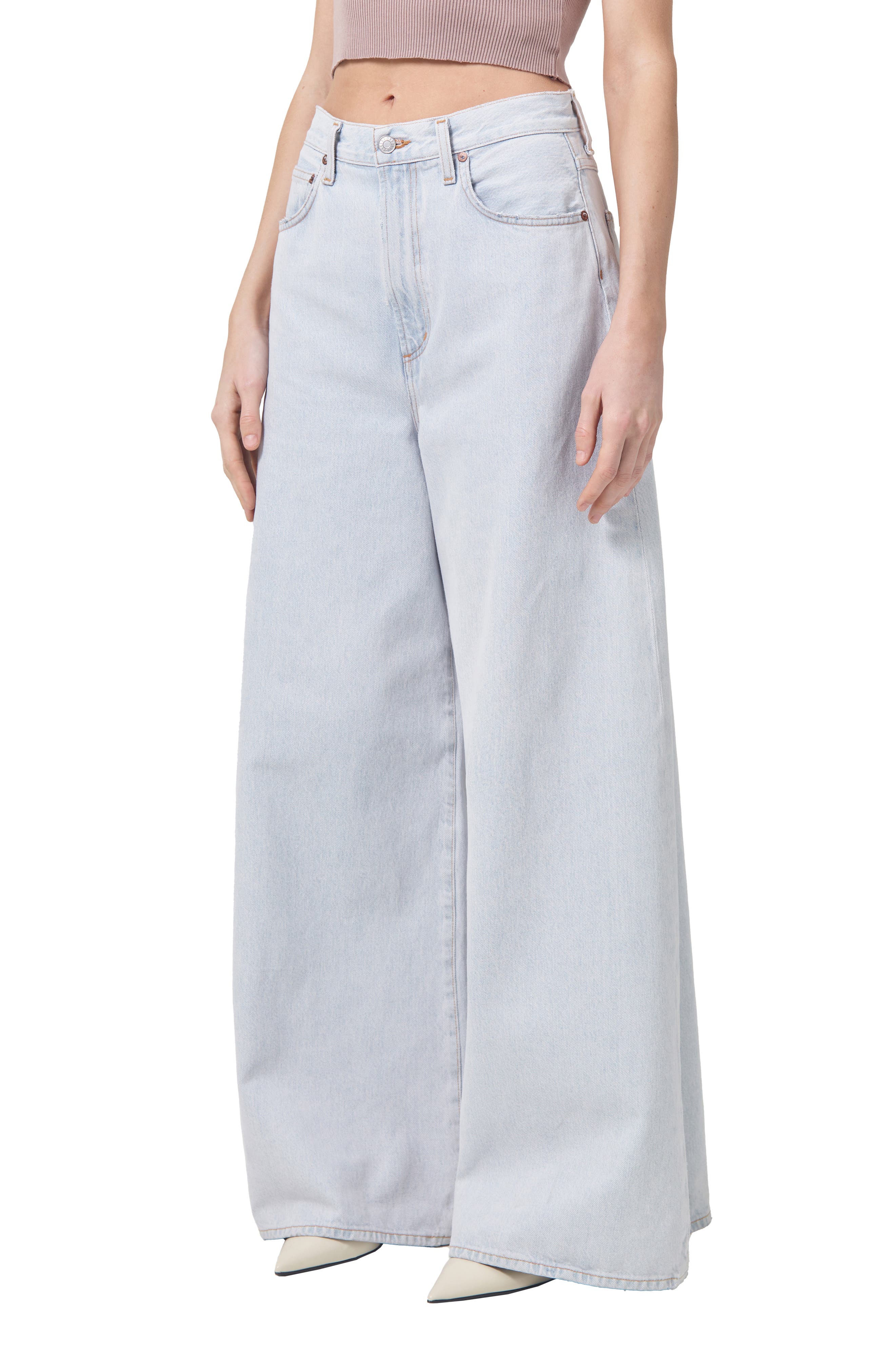 AGOLDE Nolan High Waist Wide Leg Jeans