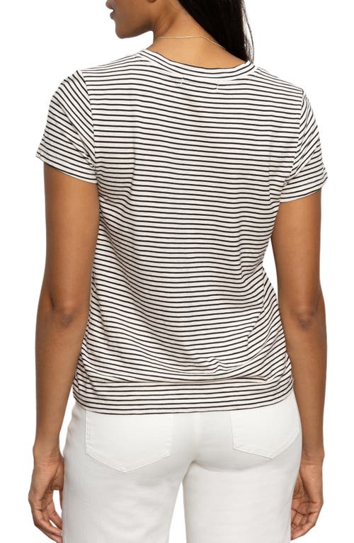 Sanctuary Women's Perfect Pull On T-shirt In Pumice Stone