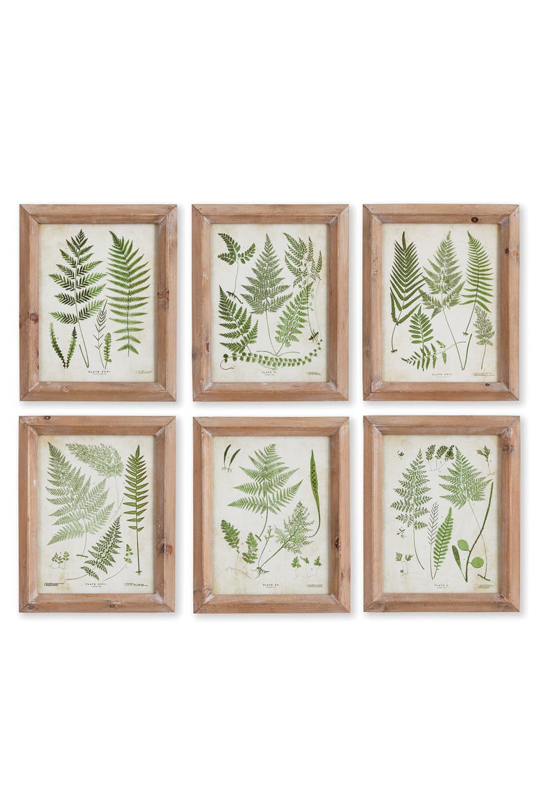 Assorted Frond Study Petite Set of 6, Main, color, Green