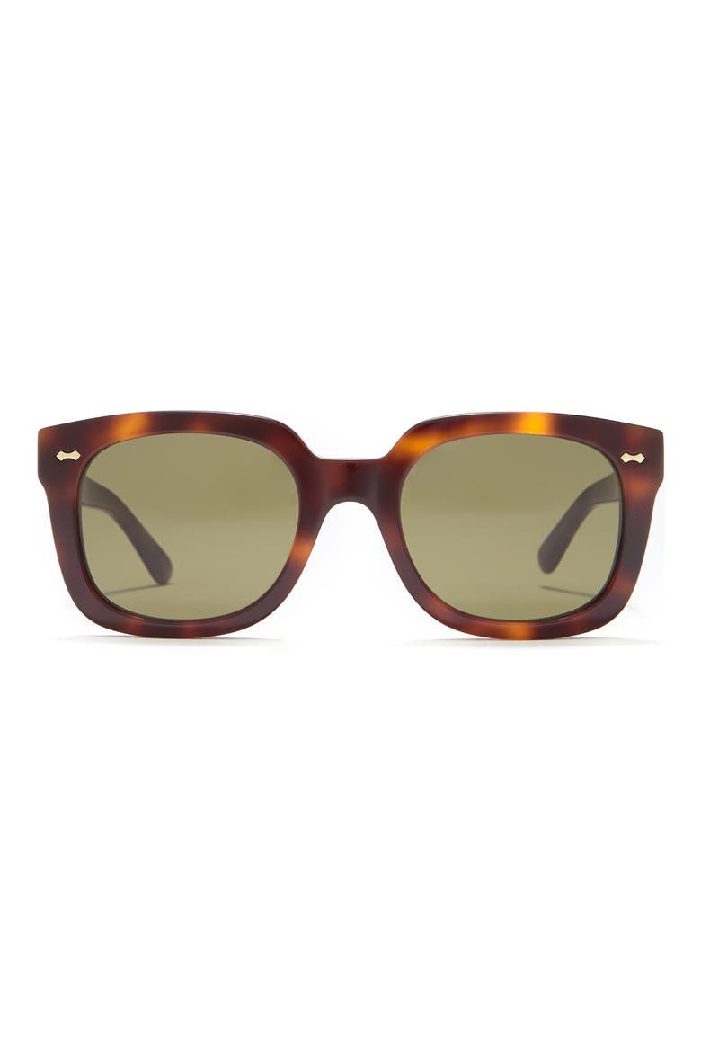 54mm Square Sunglasses, Main, color, HAVANA