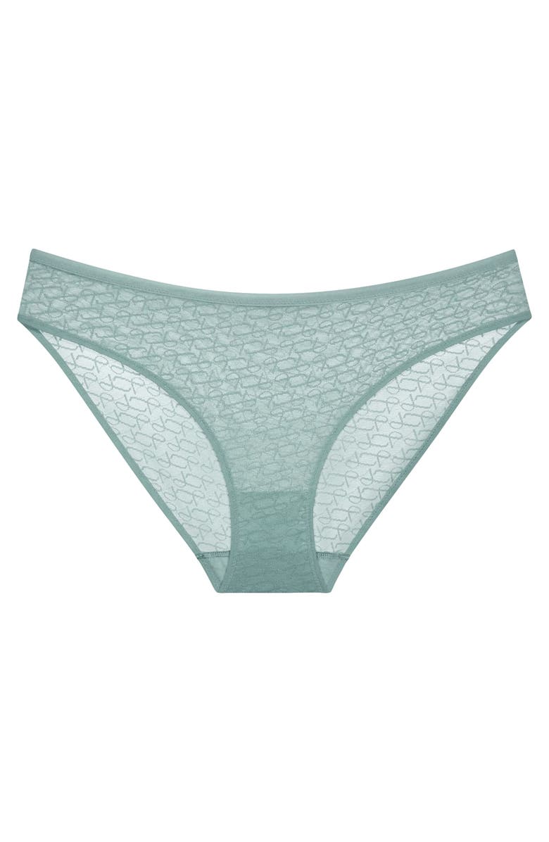 TRIUMPH Signature Sheer Bikini Panties, Main, color, Misty Turquoise