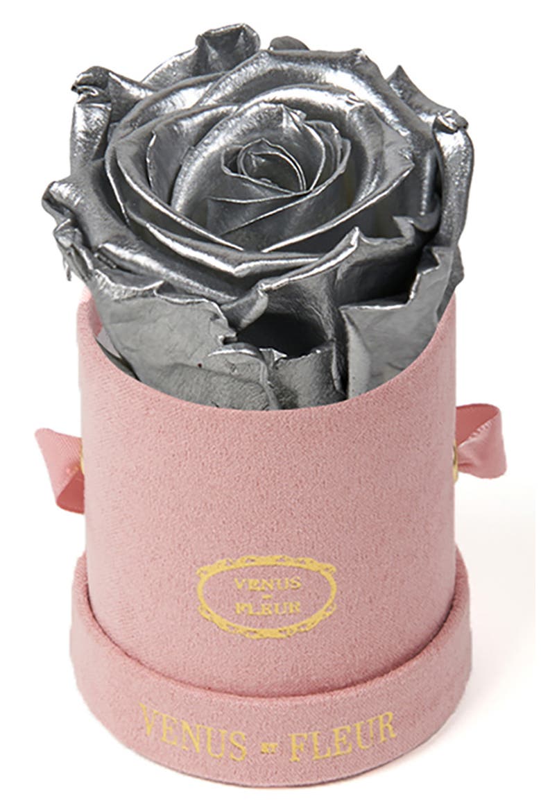 Classic Le Mini™ Round Eternity Rose, Main, color, SILVER