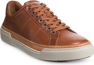 Allen Edmonds Porter City Sneaker