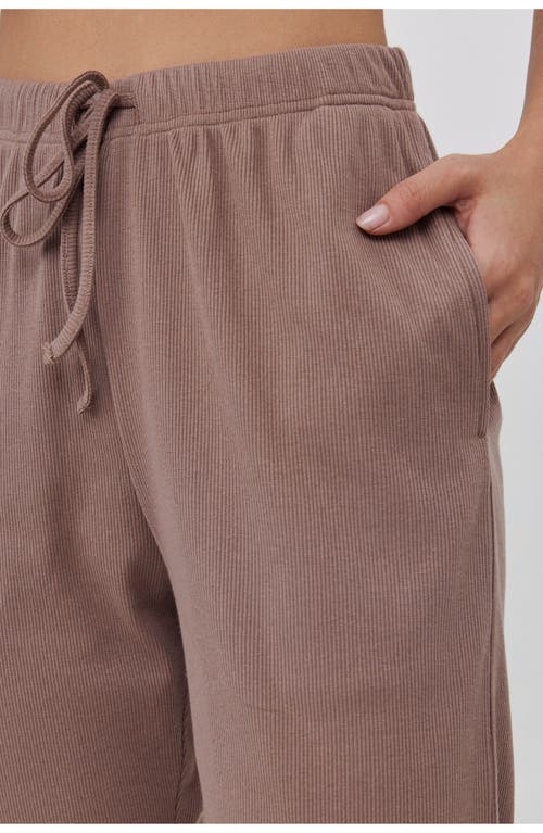 Gottex Beach Life Sandy Days Loungewear Jogger Bottoms In Brown