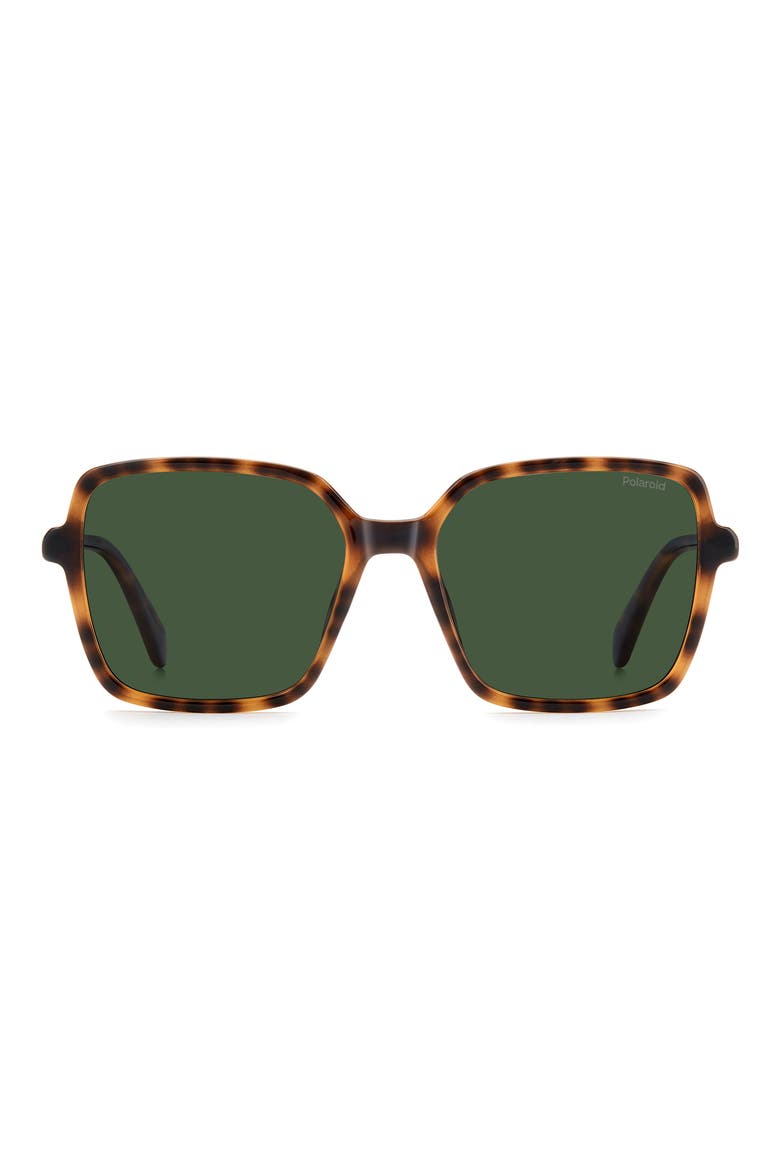 56mm Polarized Square Sunglasses, Main, color, HAVANA/ GREEN PZ