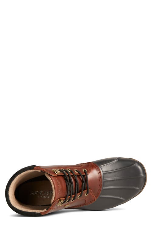 Sperry Avenue Duck Boot In Multi