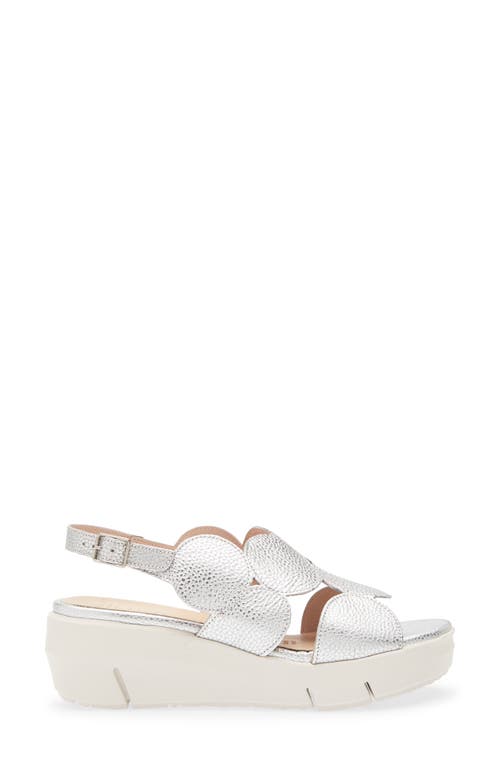 Wonders Platform Sandal In Max Plata
