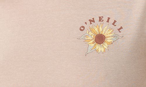 O'neill Scenic Dreamz Cotton Crop Graphic T-shirt In Simply Taupe