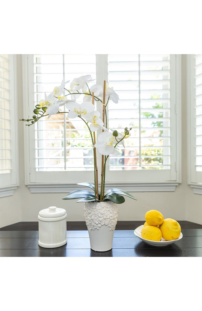 FLORA BUNDA Real-touch Orchid in Ceramic Vase, Alternate, color, 