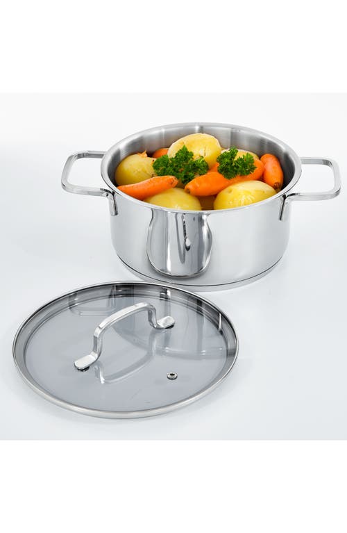 Berghoff Dina Helix 3.2-quart Stockpot In Silver