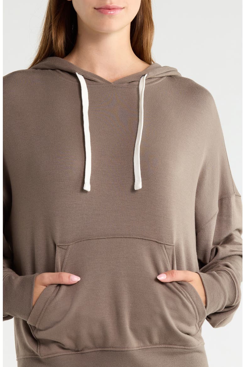 Joey Fleece Hoodie, Alternate, color, LENTIL