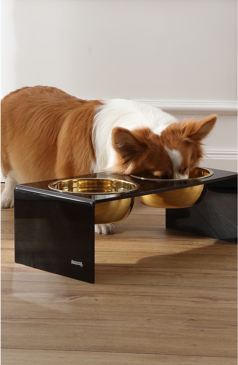 The Licker Store Keaton Modern Lucite Rectangular Elevated Pet Feeder with 2-Stainless Steel Bowls, Alternate, color, Black/Gold