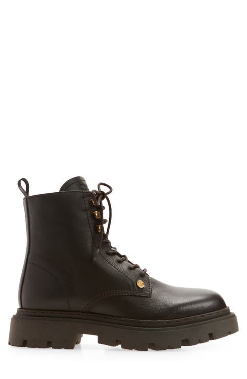 Roberto Cavalli Braise Combat Boot In Brown