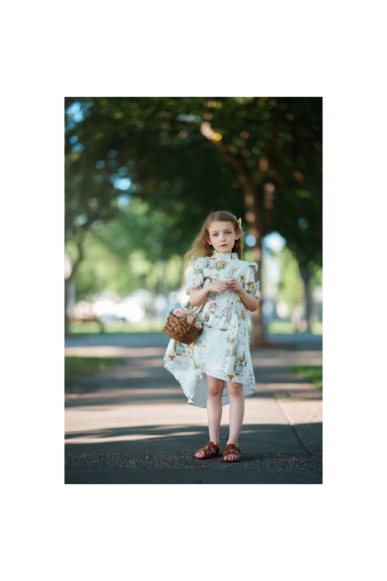 Aoki Bramble Rabbit Short Sleeve Dress, Alternate, color, 6Y