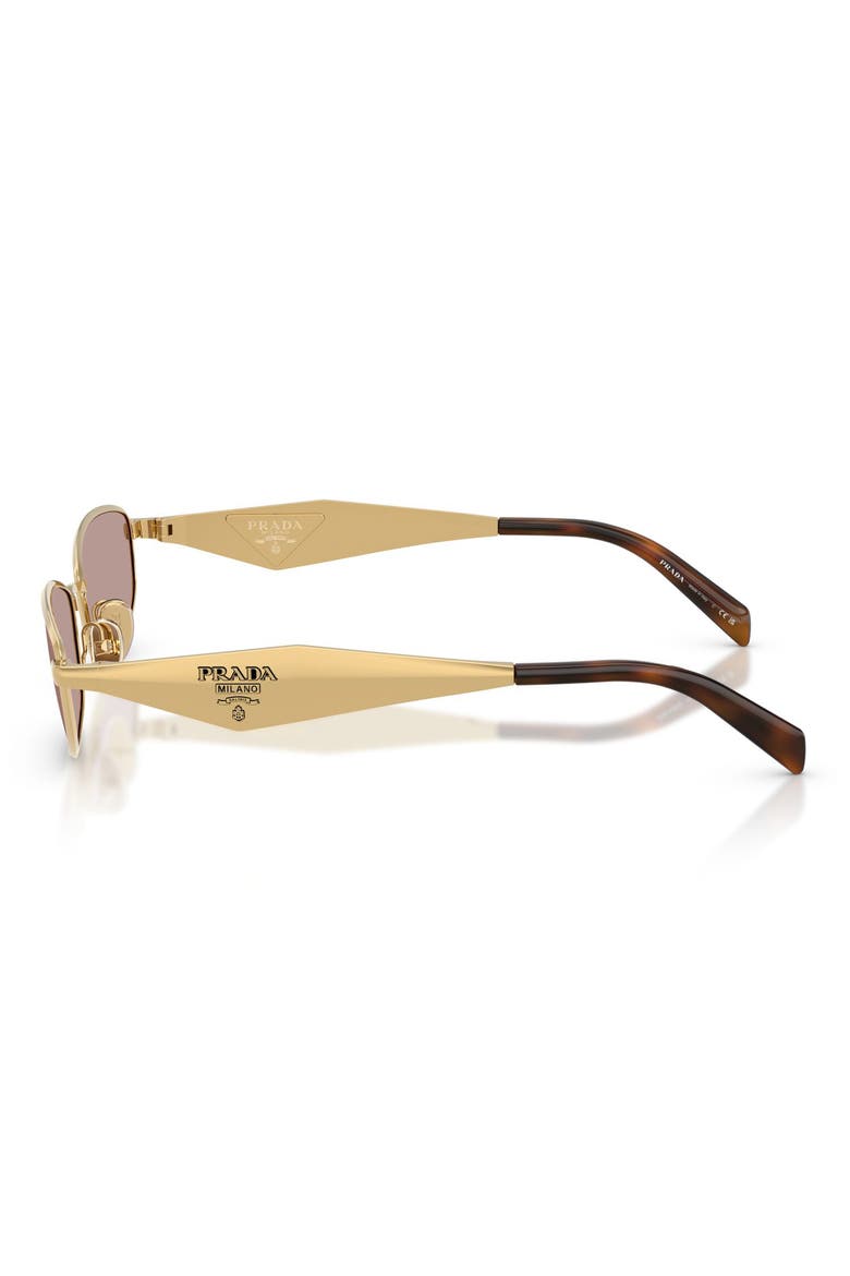 55mm Oval Sunglasses, Alternate, color, GOLD / LIGHT PURPLE BROWN