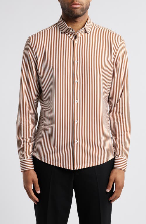 Stone Rose Bengal Stripe Techno Stretch Performance Button-Up Shirt in Dark Orange 