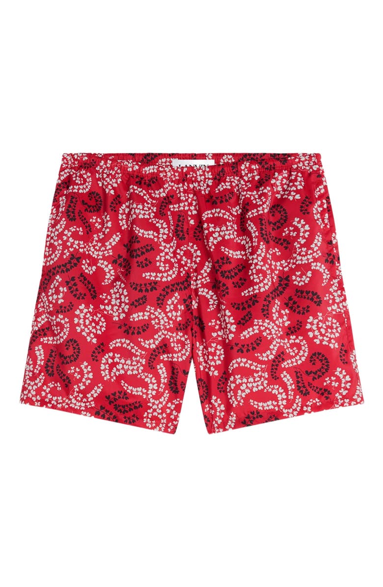 Lanvin PRINTED SWIM TRUNKS, Alternate, color, 
