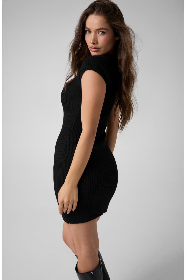 Emily V-Neck Sweater Dress, Alternate, color, JET BLACK