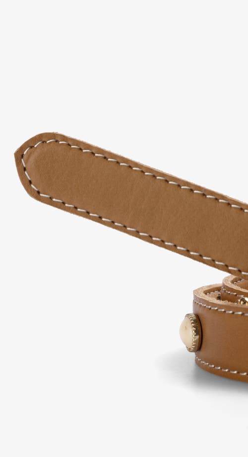 Scalpers Sun Thin Belt In Brown