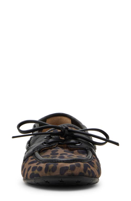Steve Madden Sag Boat Shoe