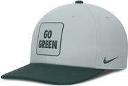 Nike Men's Nike Gray/Green Michigan State Spartans 2025 Sideline Campus Pro Local Snapback Hat