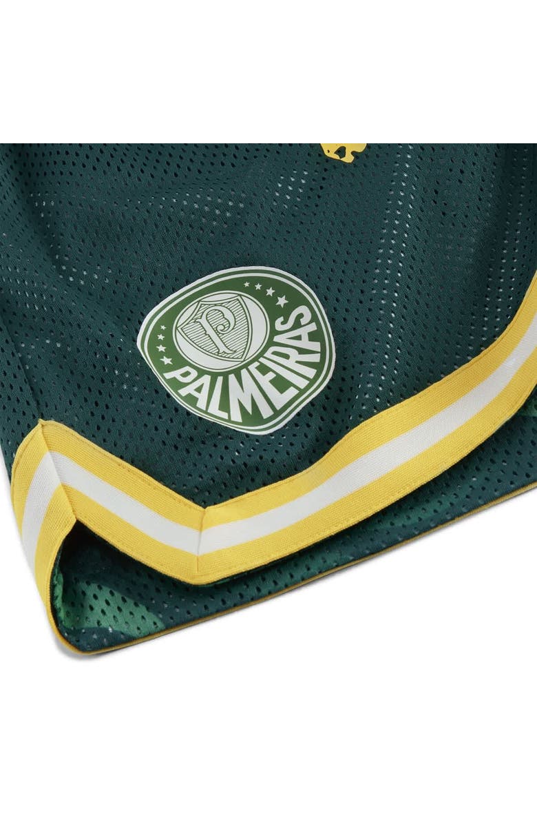 PUMA Men's Puma Green SE Palmeiras 2025 FIFA Club World Cup Hoops Reversible Shorts, Alternate, color, 