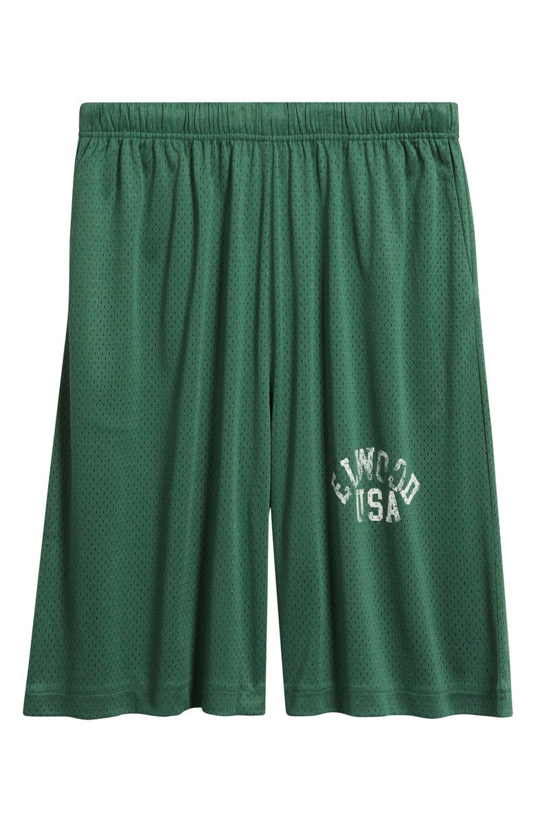 Elwood Canopy Mesh Basketball Shorts, Main, color, Pine