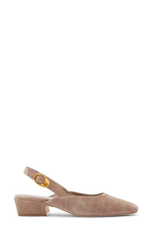 Steve Madden Diona Slingback Pump In Brown