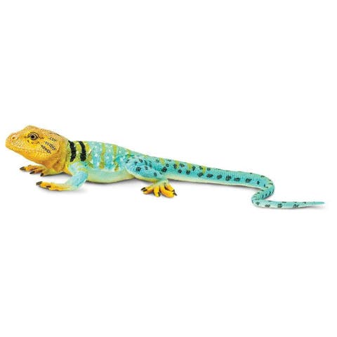 Collared Lizard Toy