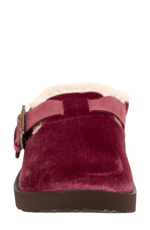 Revitalign Gift Velvet Faux Shearling Lined Slipper In Burgundy