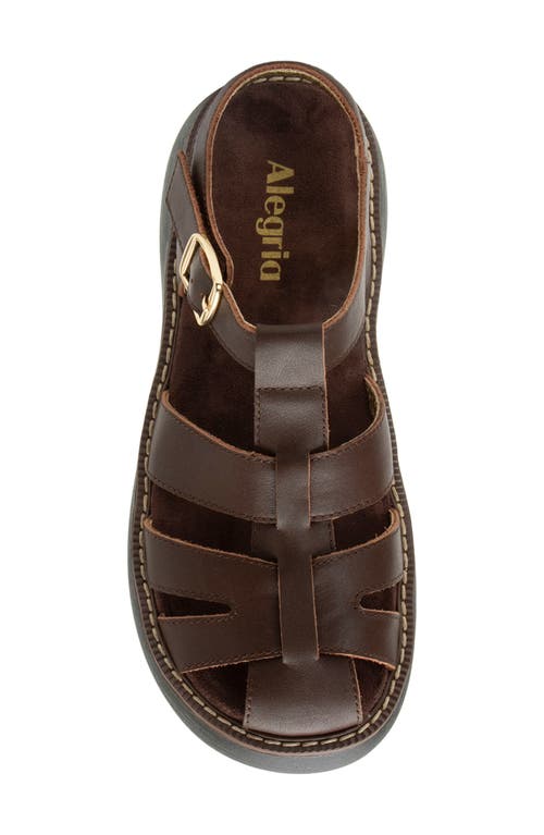 Alegria By Pg Lite Ingrid Ankle Strap Platform Fisherman Sandal In Brown