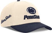 Nike Men's Nike Natural/Navy Penn State Nittany Lions Academic Rise Dri-FIT Adjustable Hat