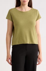 Adrianna Papell Boat Neck Cap Sleeve Seed Stitch Sweater