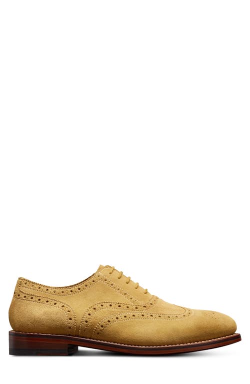 Allen Edmonds Hendrix Wingtop Oxford