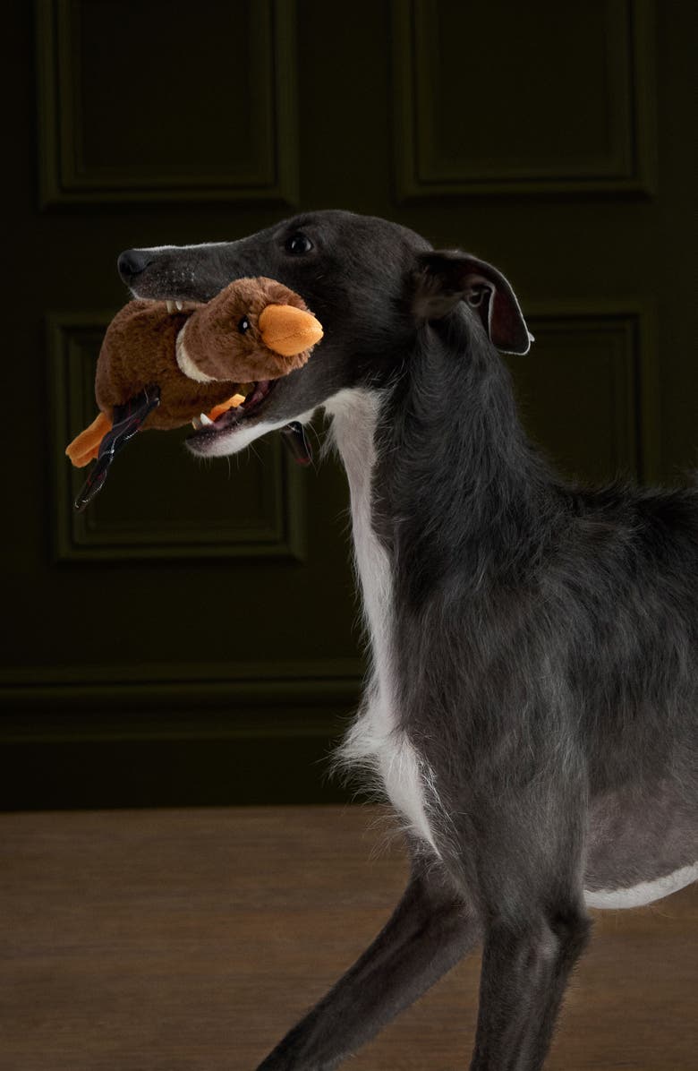Barbour Flying Duck Dog Toy, Alternate, color,