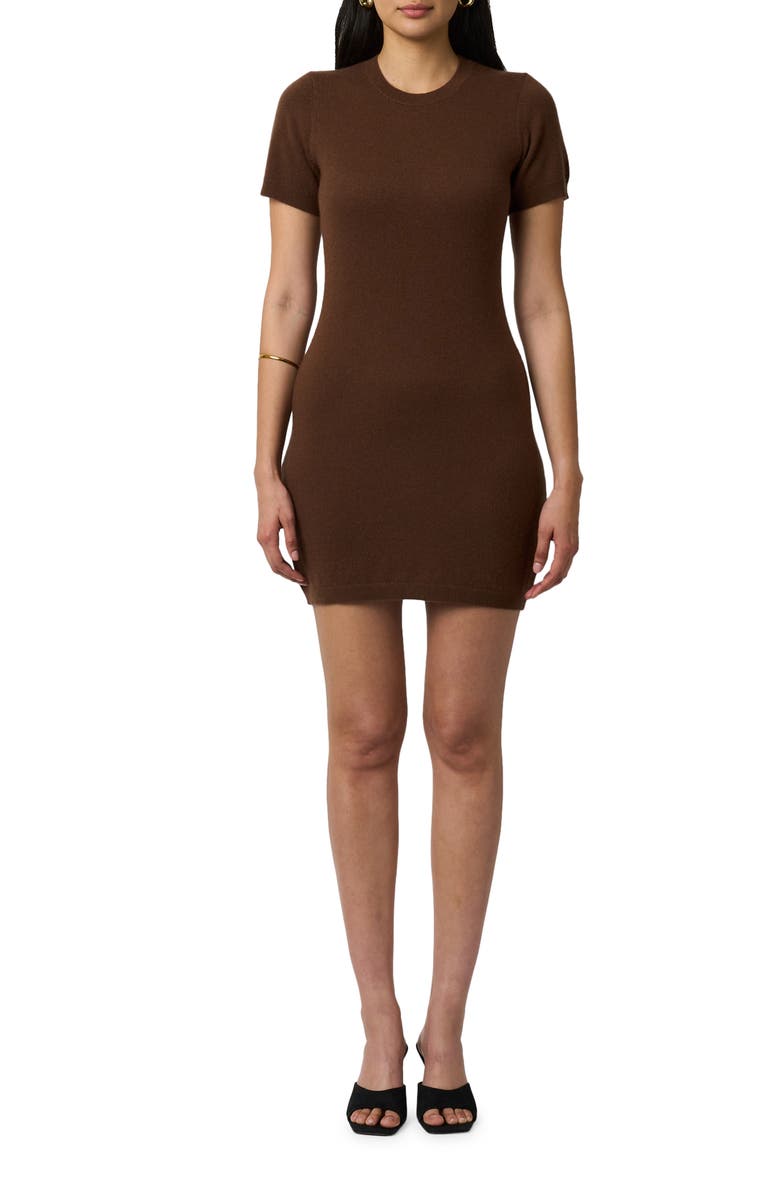 Equipment Cataleya Cashmere Sweater Minidress, Main, color, Pinecone