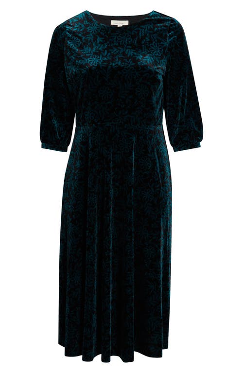 Seasalt Cornwall Oak Cottage Velvet Midi Dress In Green
