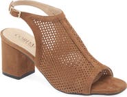 Cordani Illia Ankle Strap Sandal