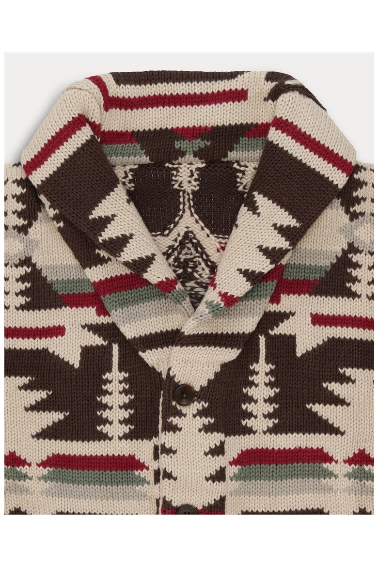 Wyoming Alpaca and Cotton Cardigan, Alternate, color, Multicolor