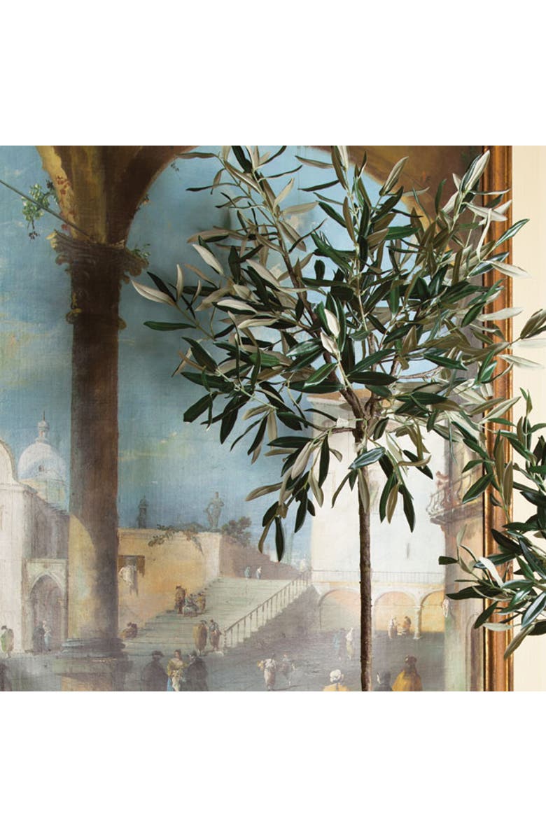 Napa Home & Garden Olive Tree Potted 46", Alternate, color, Green