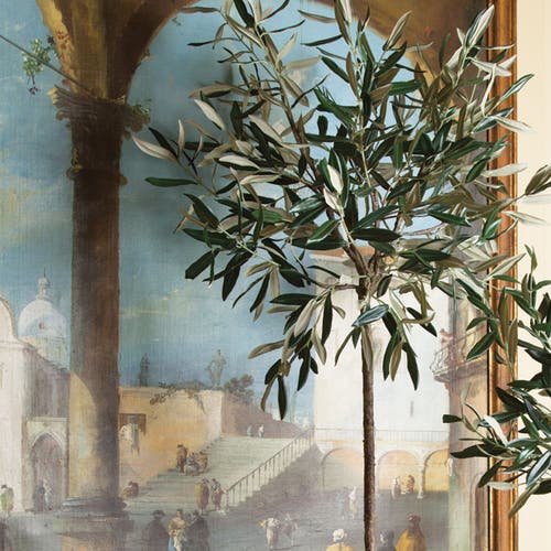 Napa Home & Garden 46in Potted Olive Tree In Multi