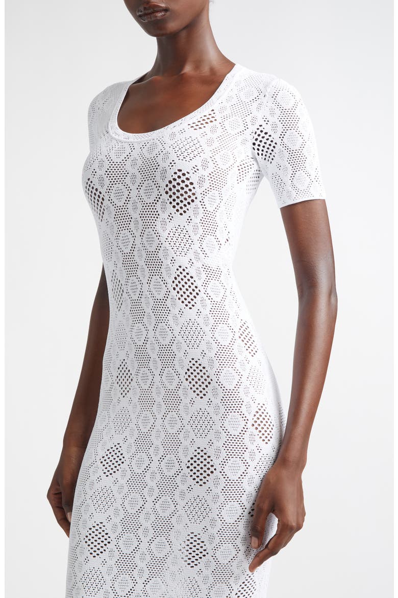 Openwork Python Lace Dress, Alternate, color, BLANC