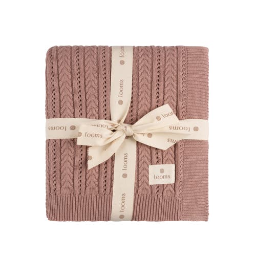 Ely's & Co. Looms Cable Pointelle Flat Collection In Brown