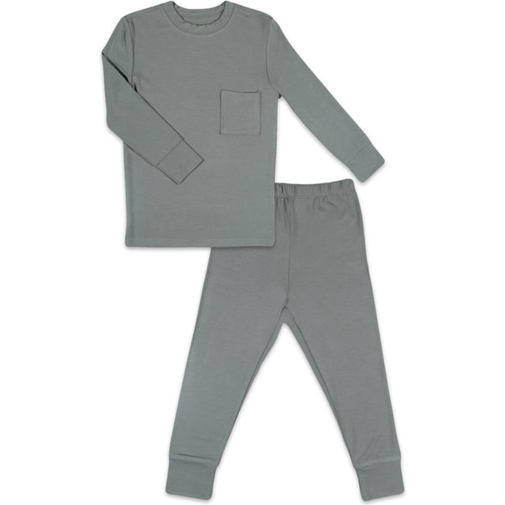 Everly Grey Emerson Fitted Long Sleeve 2-piece Pajamas In Gray