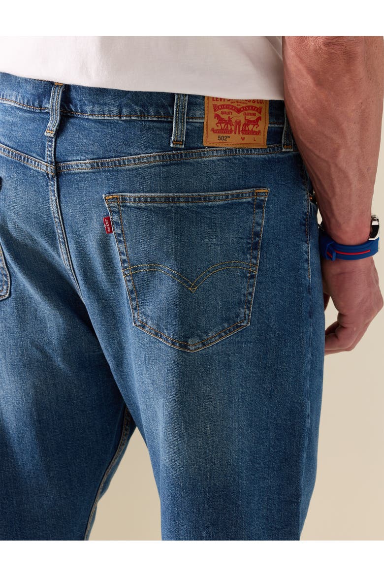 Big & Tall  502â„¢ Tapered-fit Stretch Jeans, Alternate, color, TOP TUNE