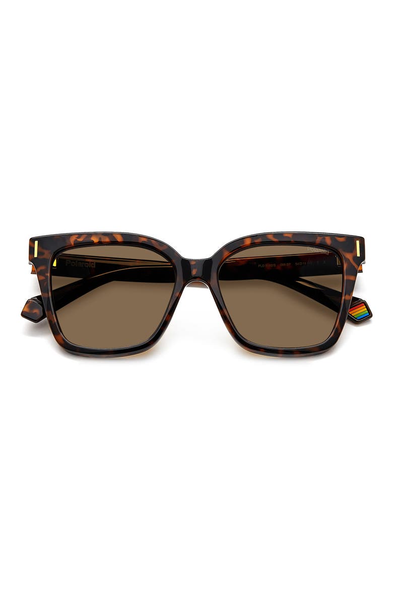 54mm Polarized Cat Eye Sunglasses, Main, color, HAVANA/ BRONZE POLAR
