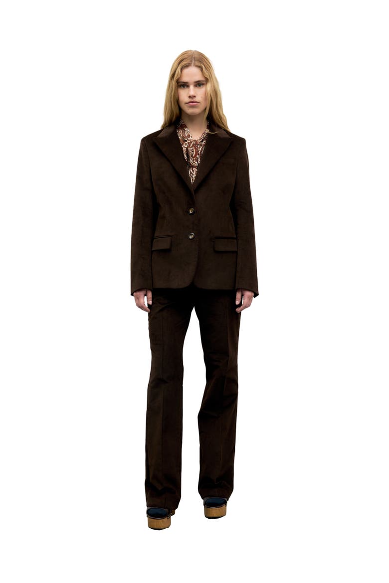 Jem Velvet Jacket, Alternate, color, Cinnamon