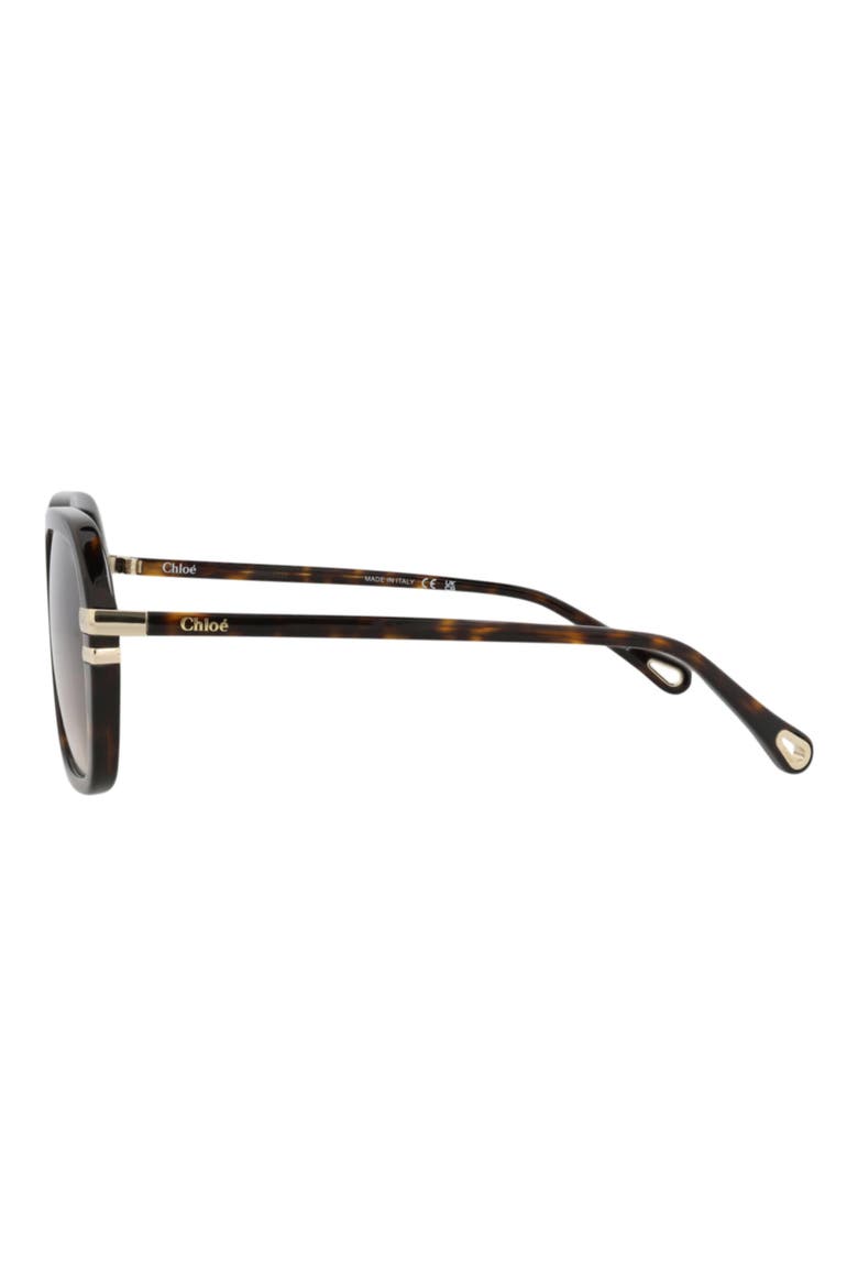 57mm Oversize Sunglasses, Alternate, color, HAVANA/ HAVANA BROWN