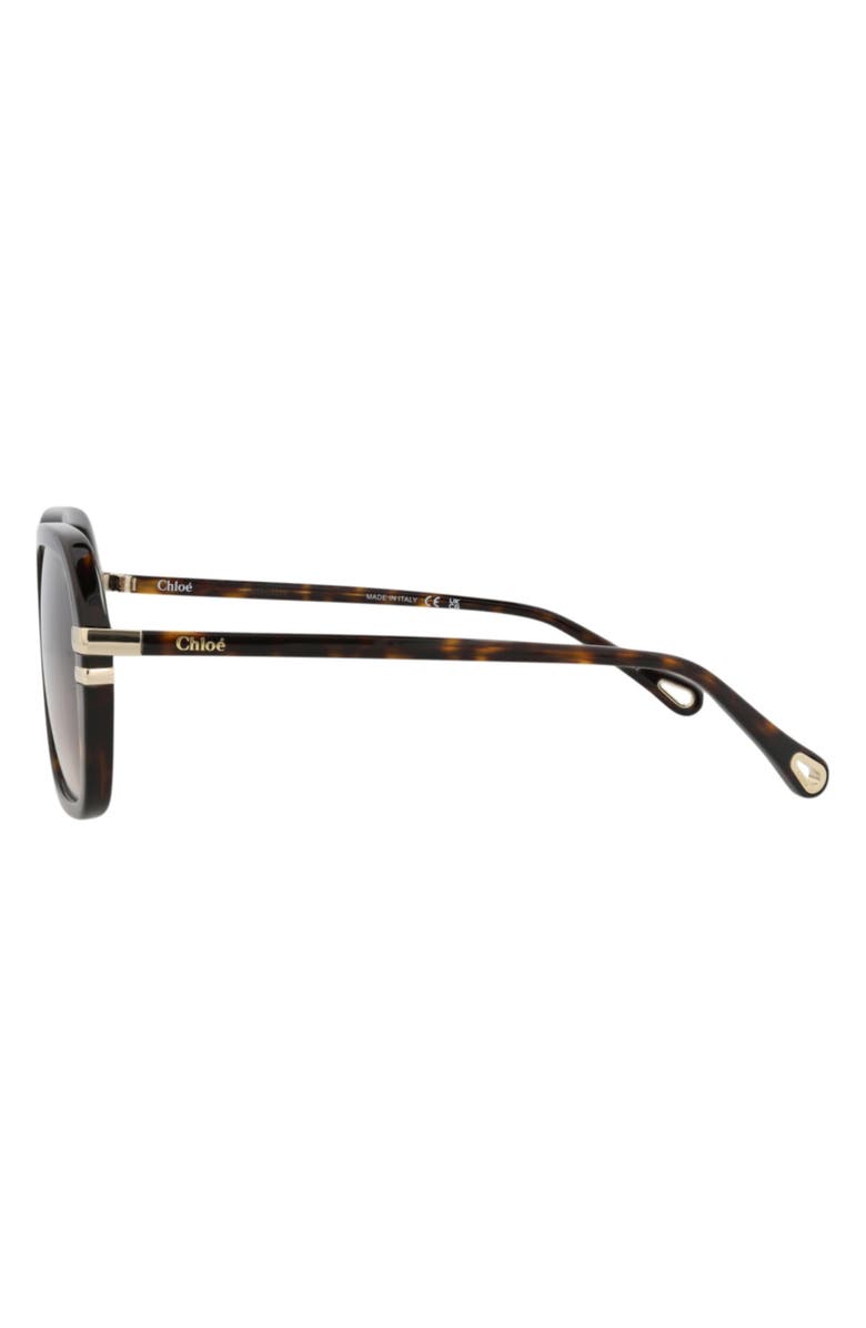 Chloé 57mm Oversize Sunglasses, Alternate, color, Havana/ Havana Brown
